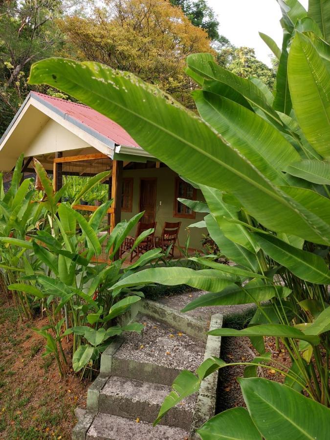 Cabina Rancho La Merced 乌维塔 外观 照片